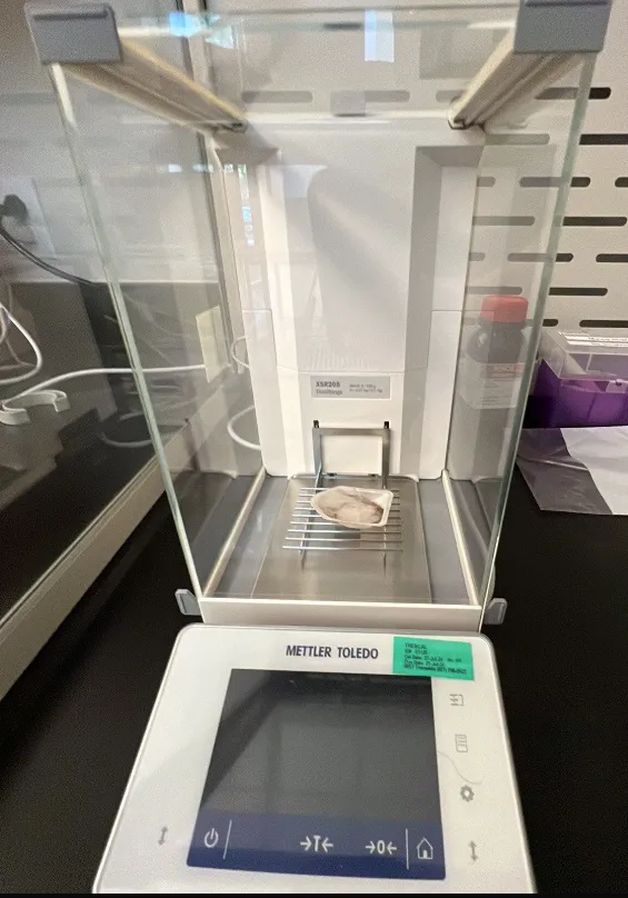 Mettler Toledo XSR205DU Analytical Balance, 220g/81g x 0.1mg/0.01mg, Used