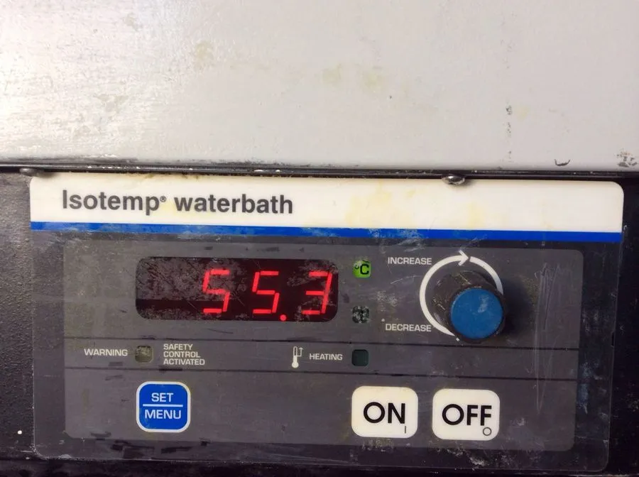 Fisher Scientific Isotemp Water Bath Model 5L