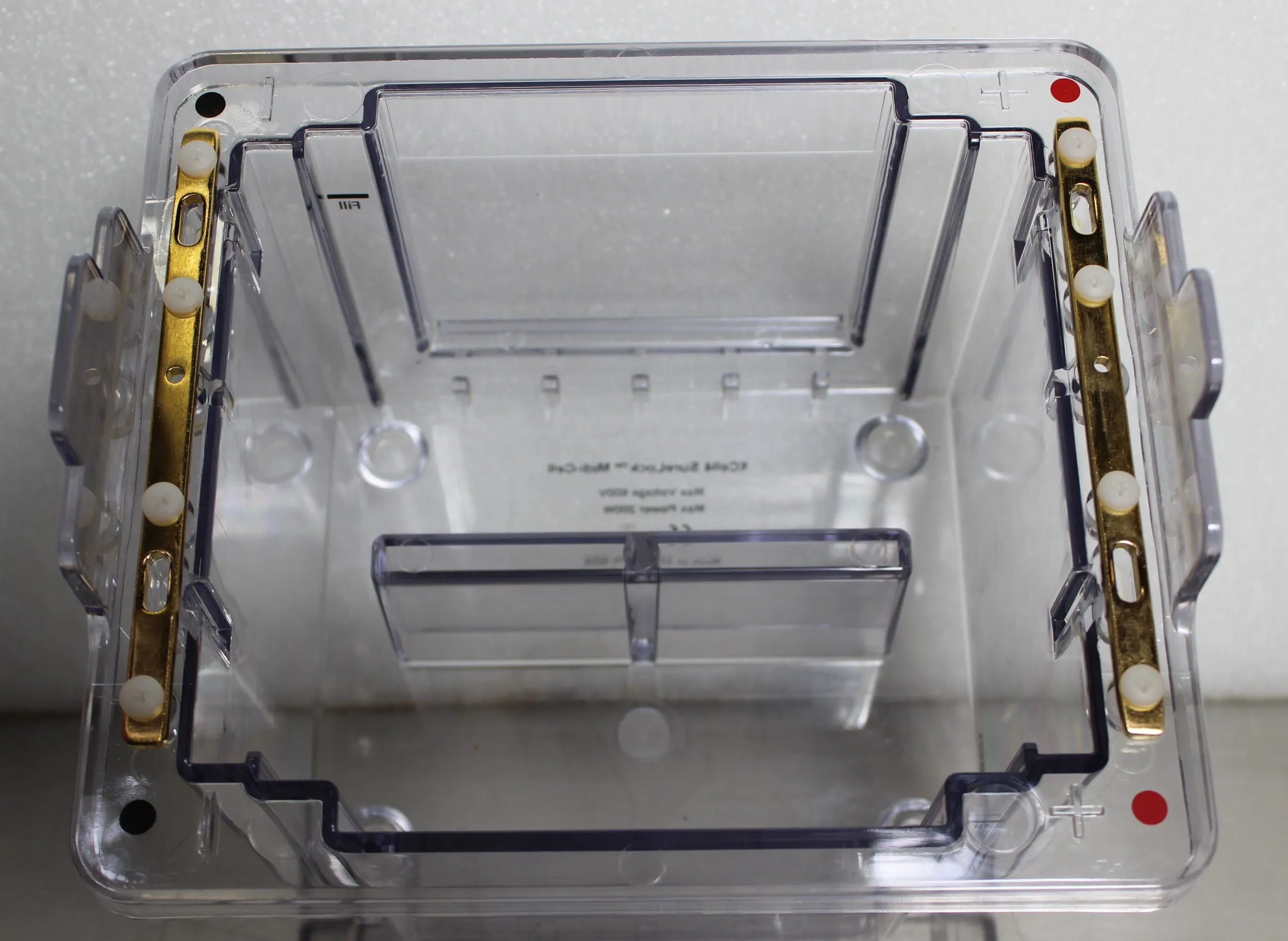 Invitrogen XCell4 SureLock Midi-Cell Electrophoresis System WR0100