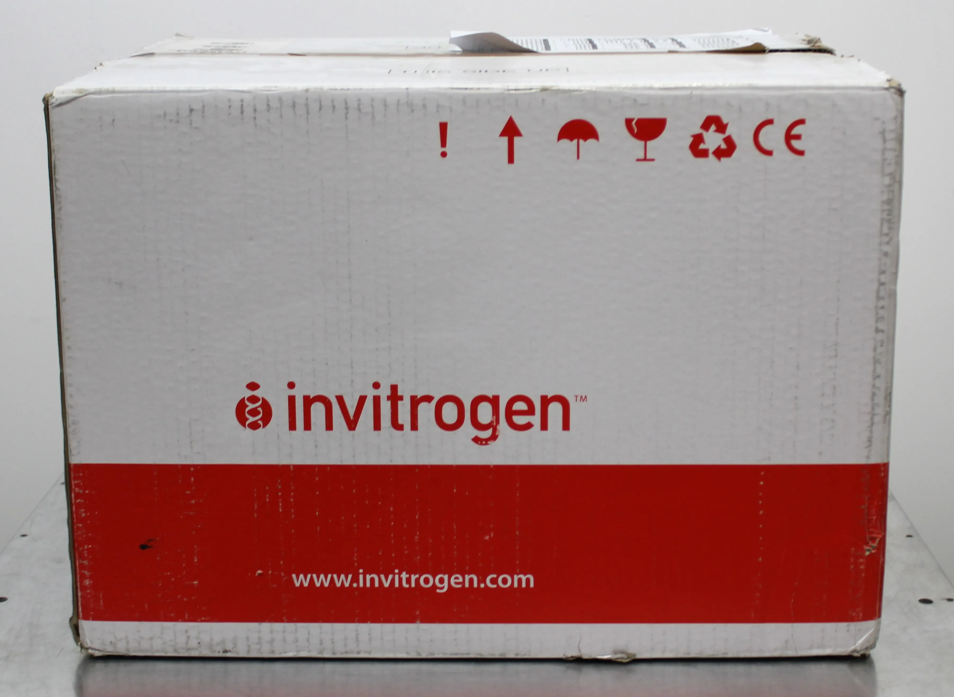 Thermo Fisher Invitrogen MPK5000 Neon Transfection System 240V