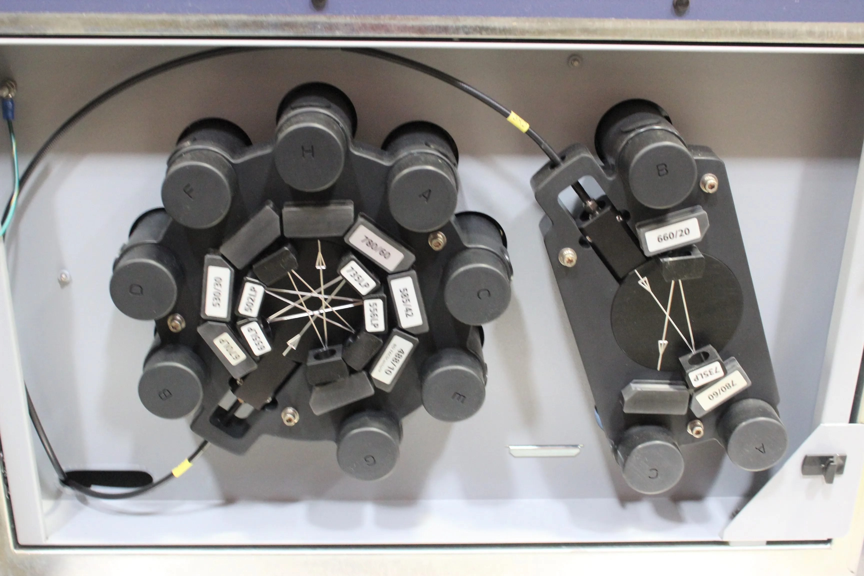 BD FACSCanto Flow Cytometer