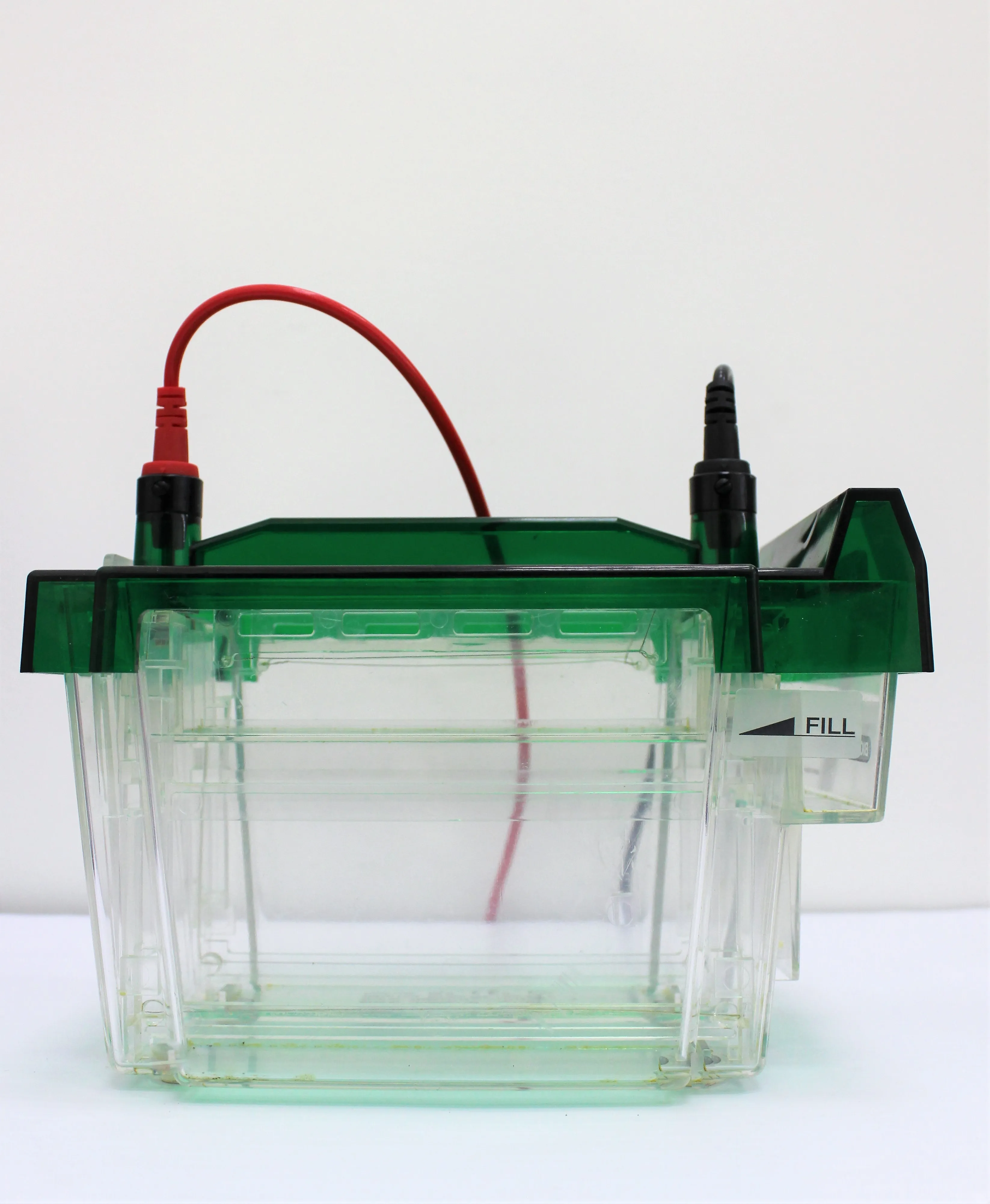 Bio Rad Criterion Mini Vertical Electrophoresis Cell