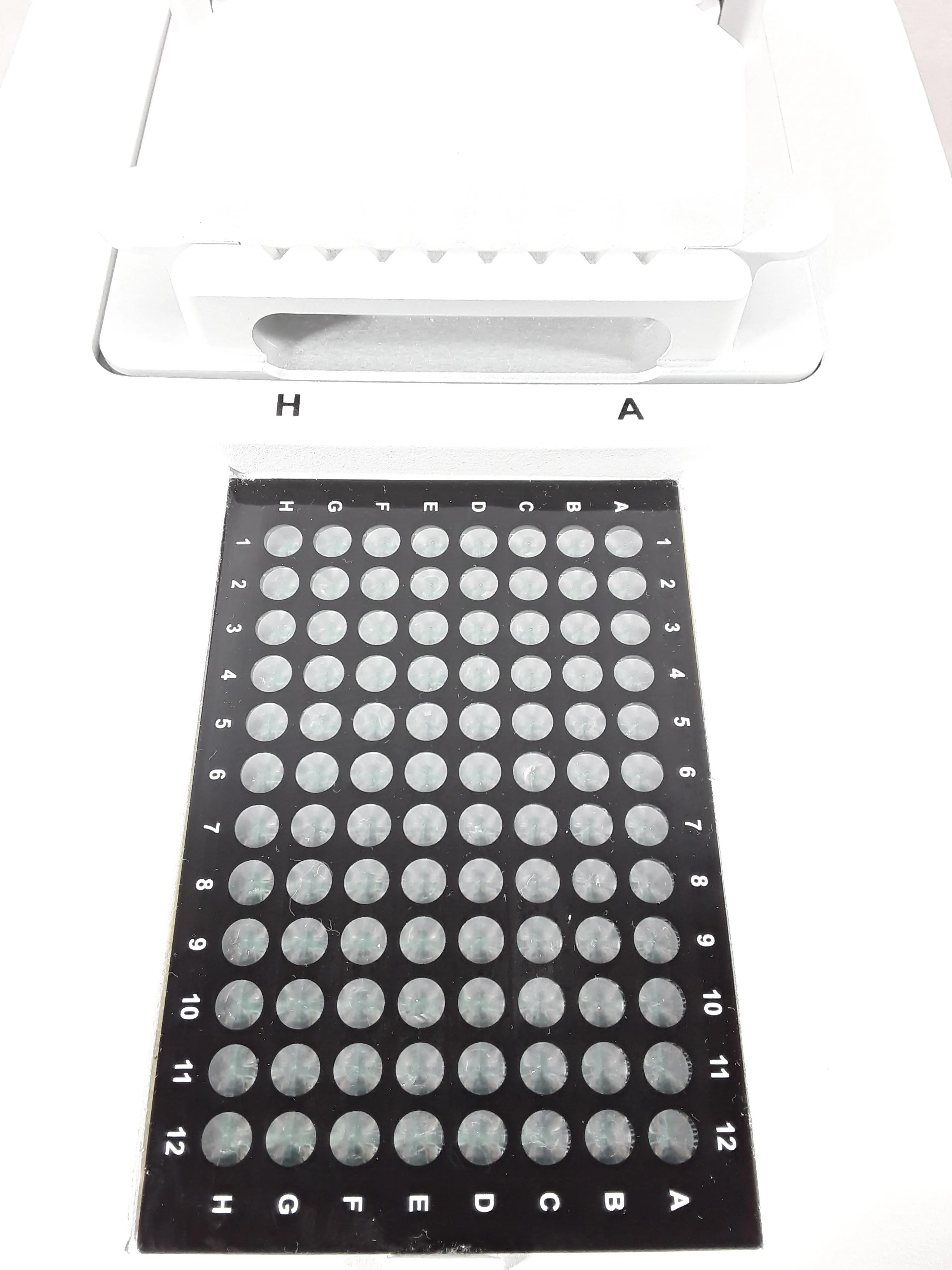 Thermo Scientific NanoDrop 8000 Spectrophotometer