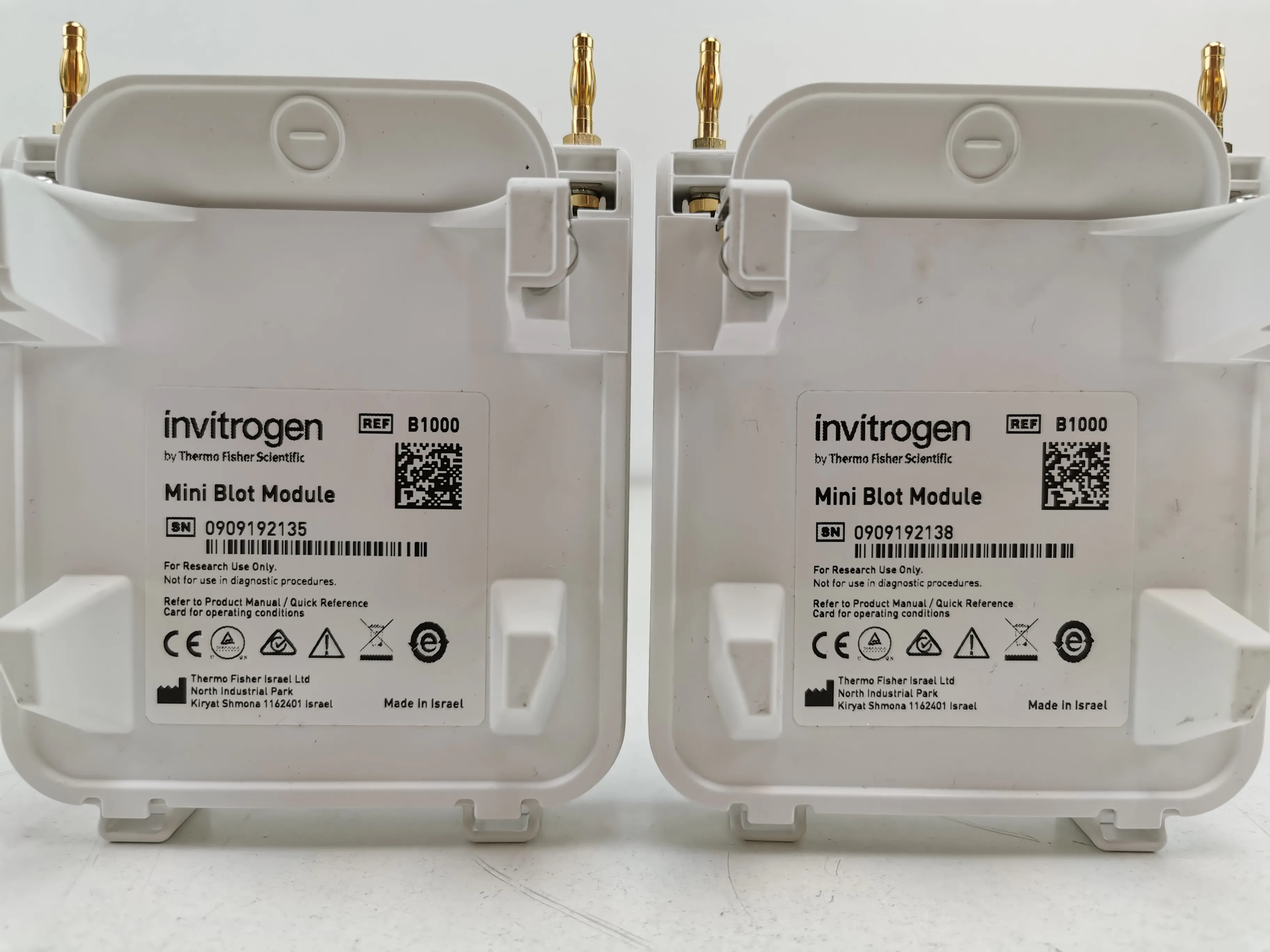 Invitrogen Mini Gel Tank Electrophoresis System