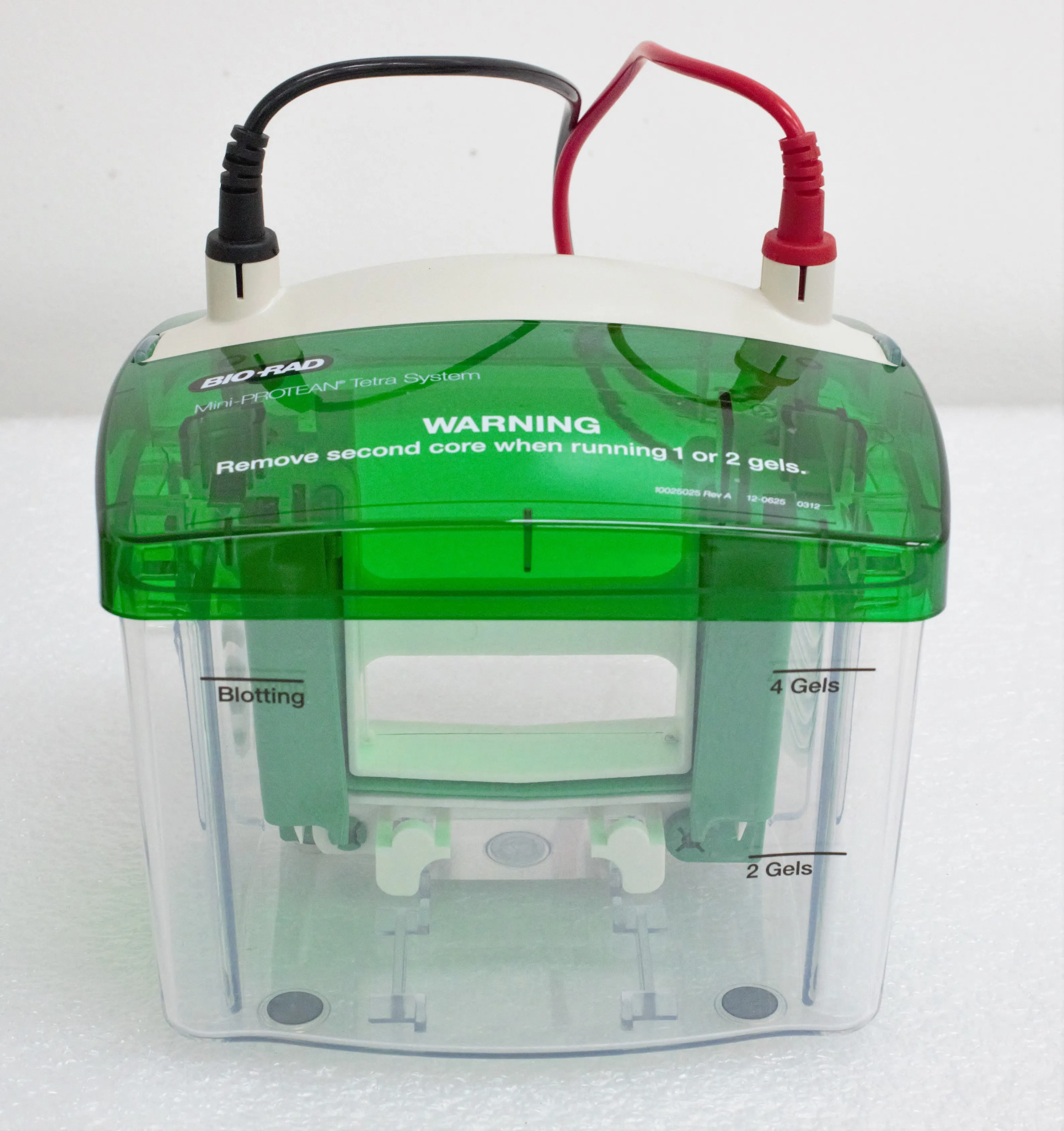 Bio-Rad Mini PROTEAN Tetra Cell Electrophoresis System