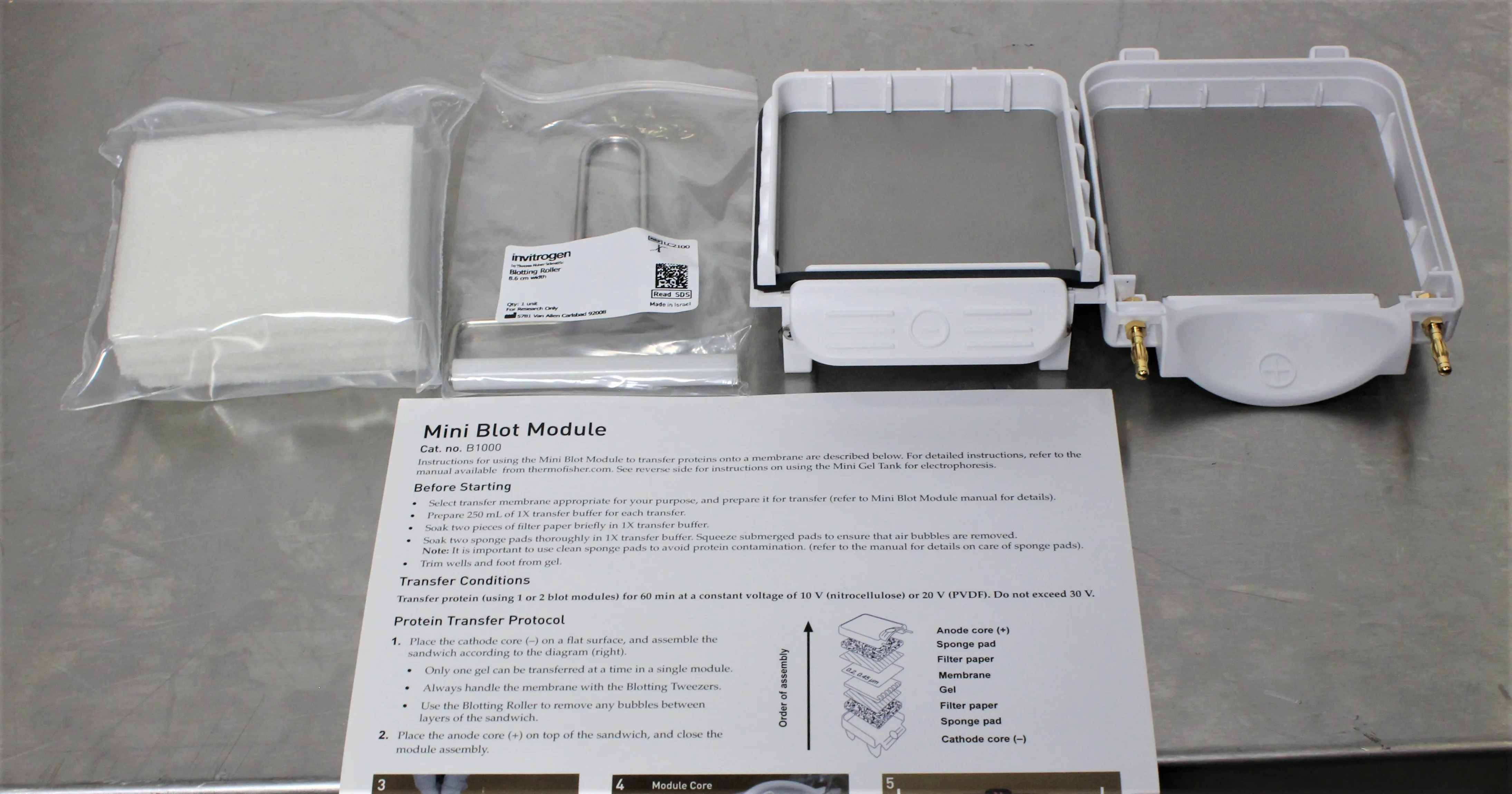 Invitrogen B1000 Mini Blot Module