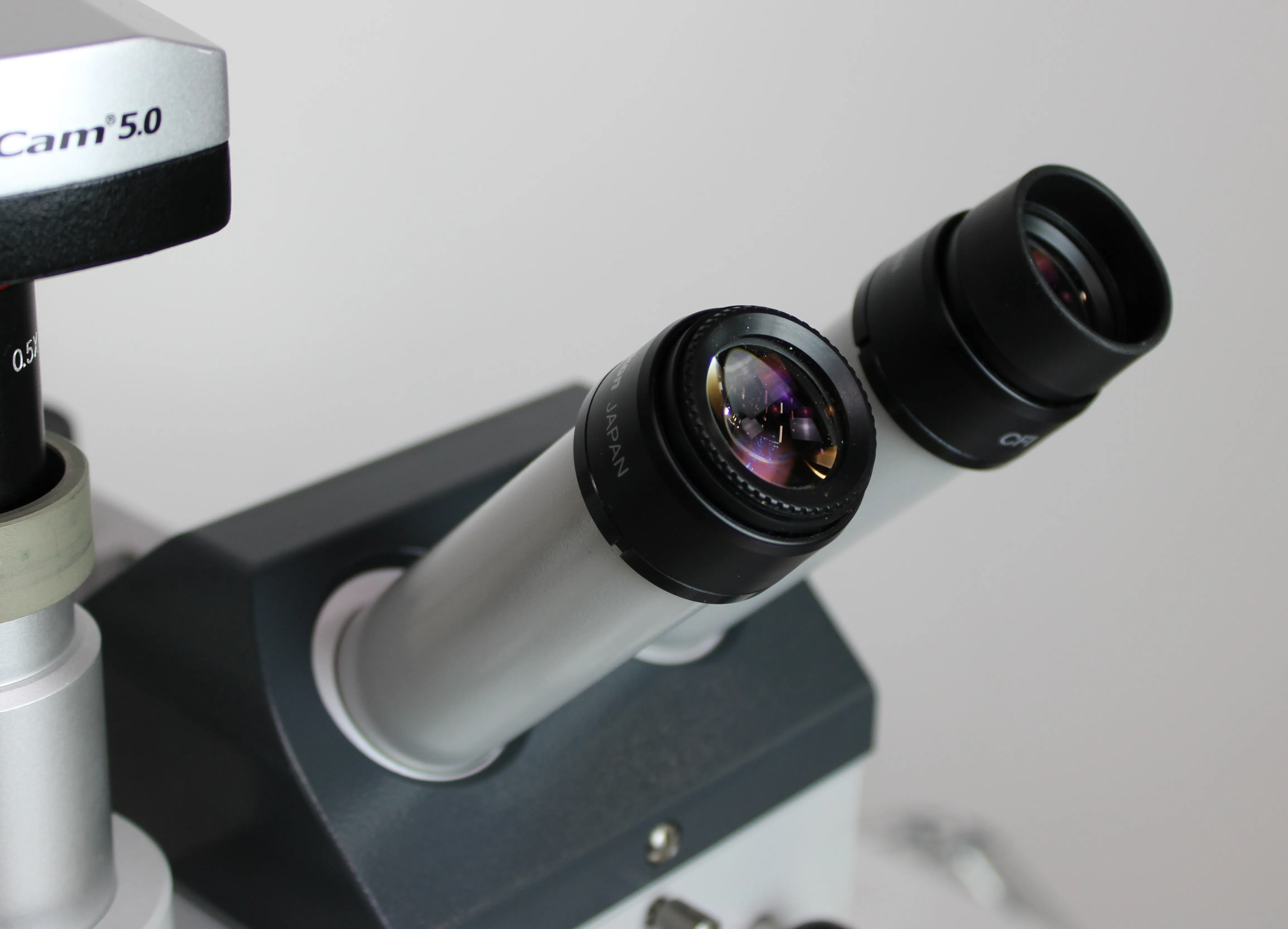 Used Zeiss 455052-9901 Microscope with VWR Visicam 5.0