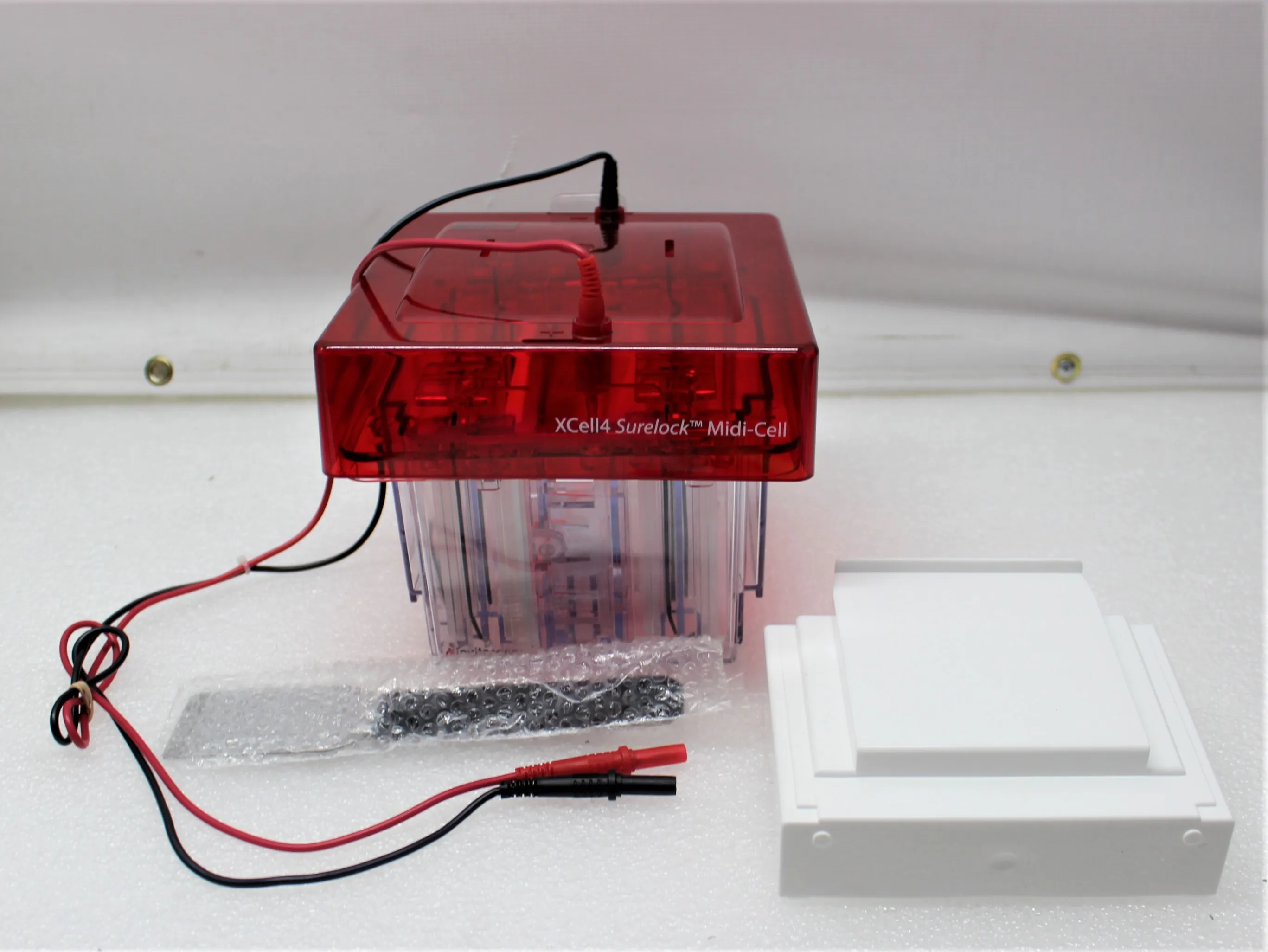 Invitrogen Novex XCell4 Surelock Midi-Cell Electrophoresis System