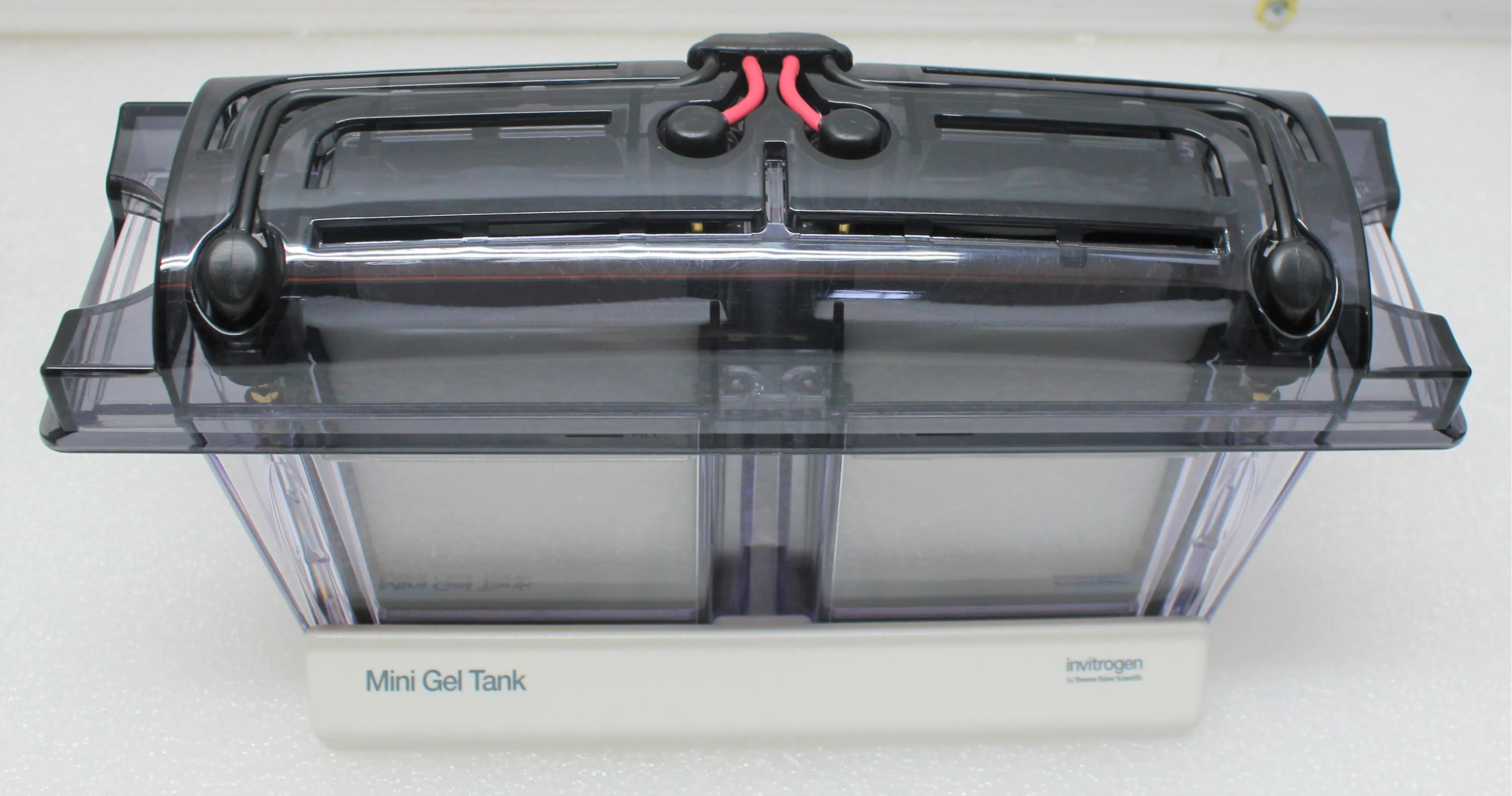 Thermo Scientific Mini Gel Tank Electrophoresis System