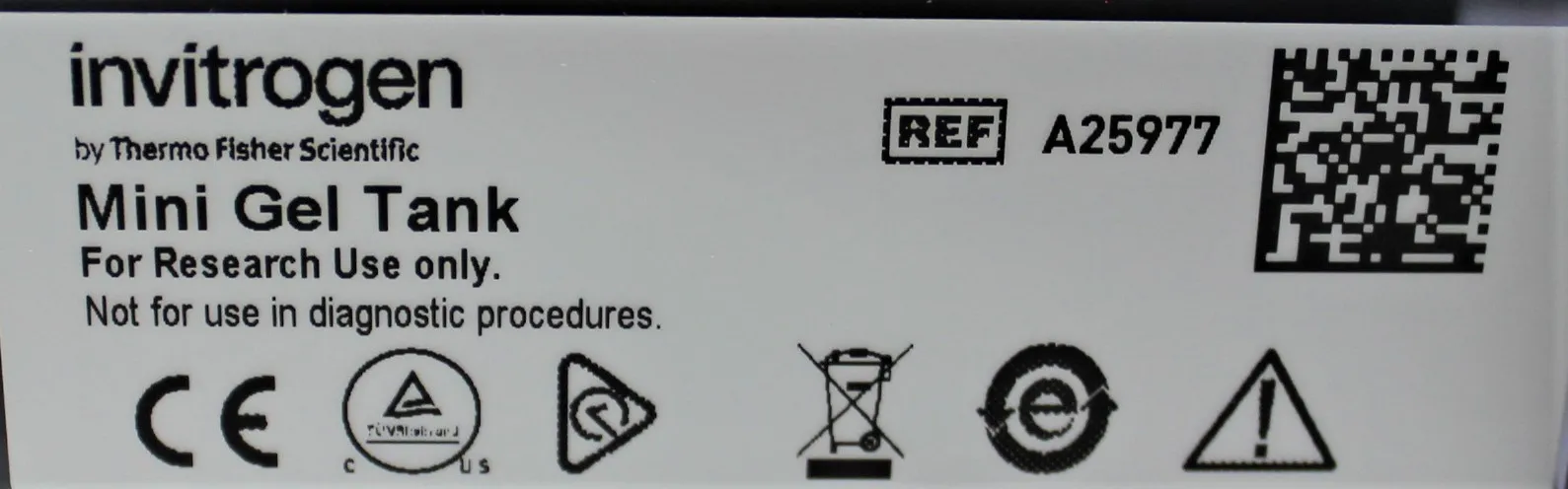 Invitrogen A25977 Mini Gel Tank Used Electrophoresis Power Supply