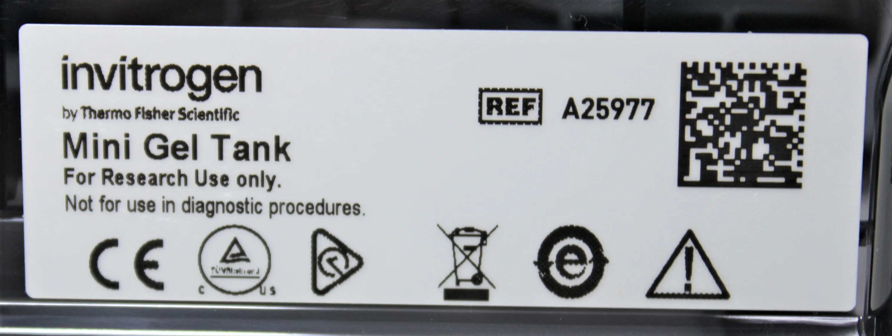 Invitrogen A25977 Mini Gel Tank Electrophoresis System